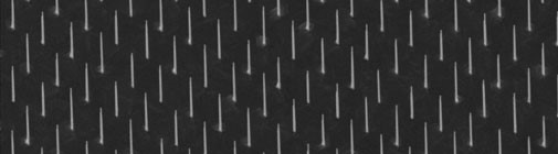 Figure 1. Array of identical vertical nanowires grown by III-V Molecular Beam Epitaxy. Each nanowire is a few micrometers tall and has a diameter around 100 nm.