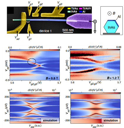 Transport experiments on a Majorana wire