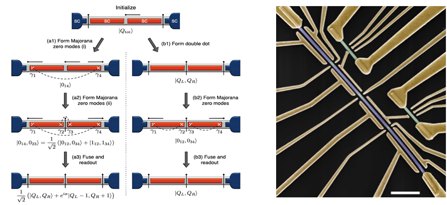 Proposal (from D. Aasen et al., Phys. Rev. X 6, 031016 (2016)) for a device and a protocol to demonstrate the Majorana fusion rules and False color scanning electron micrograph of a Majorana device